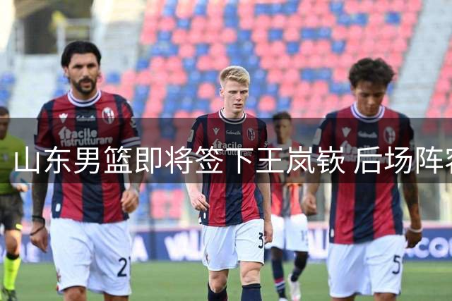 山东男篮即将签下王岚嵚 后场阵容或将调整