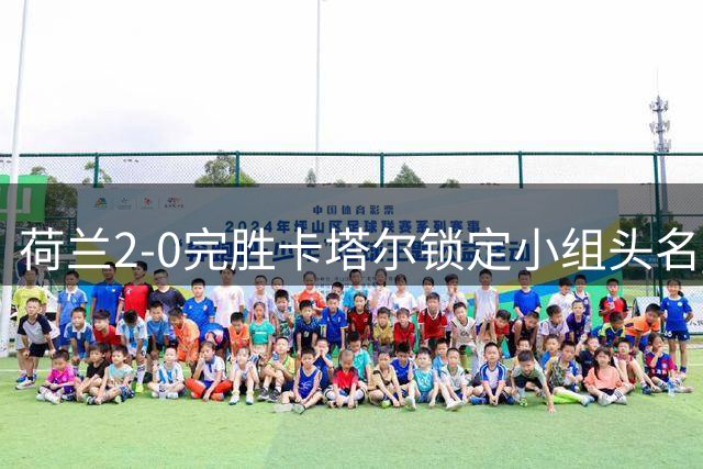 荷兰2-0完胜卡塔尔锁定小组头名 加克波连续三场建功